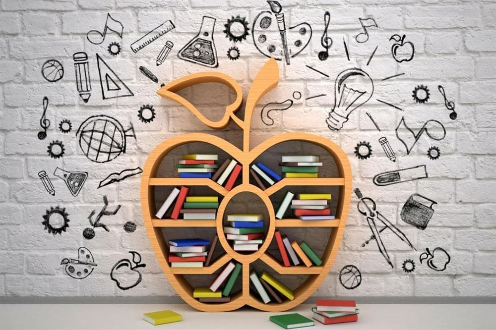 different shelf design