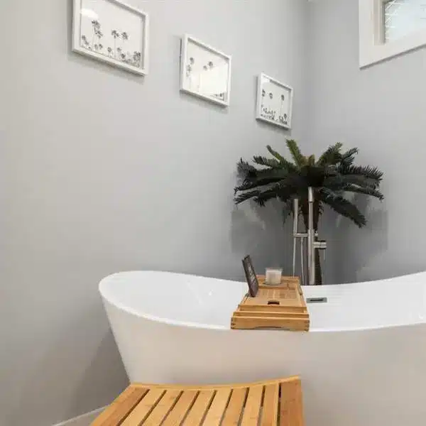 frames in bathroom